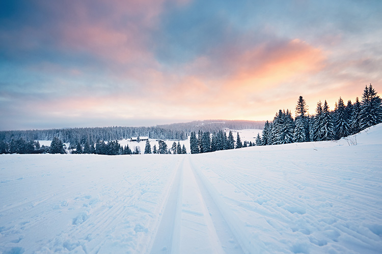 Snowmobile trail at sunset with a view of pine trees and a beautiful winter sunset on the horizon
